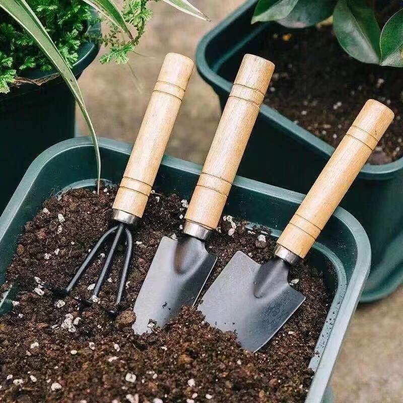 3 adet/1 takım Mini bahçe alet - Indoor Herb Garden incelemesi ve fiyatı