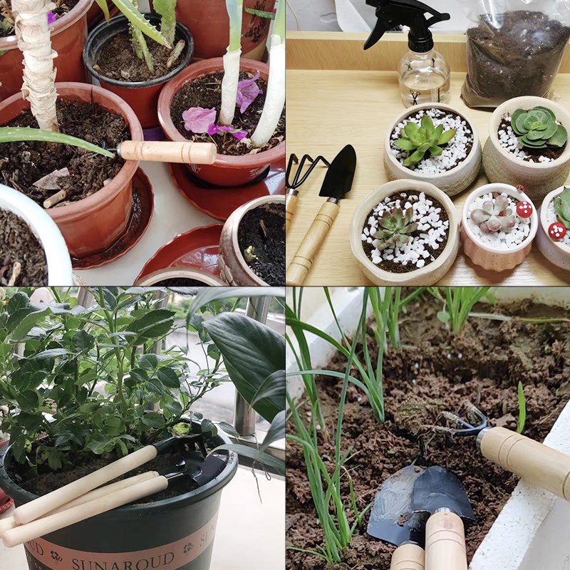 3 adet/1 takım Mini bahçe alet - Indoor Herb Garden incelemesi ve fiyatı