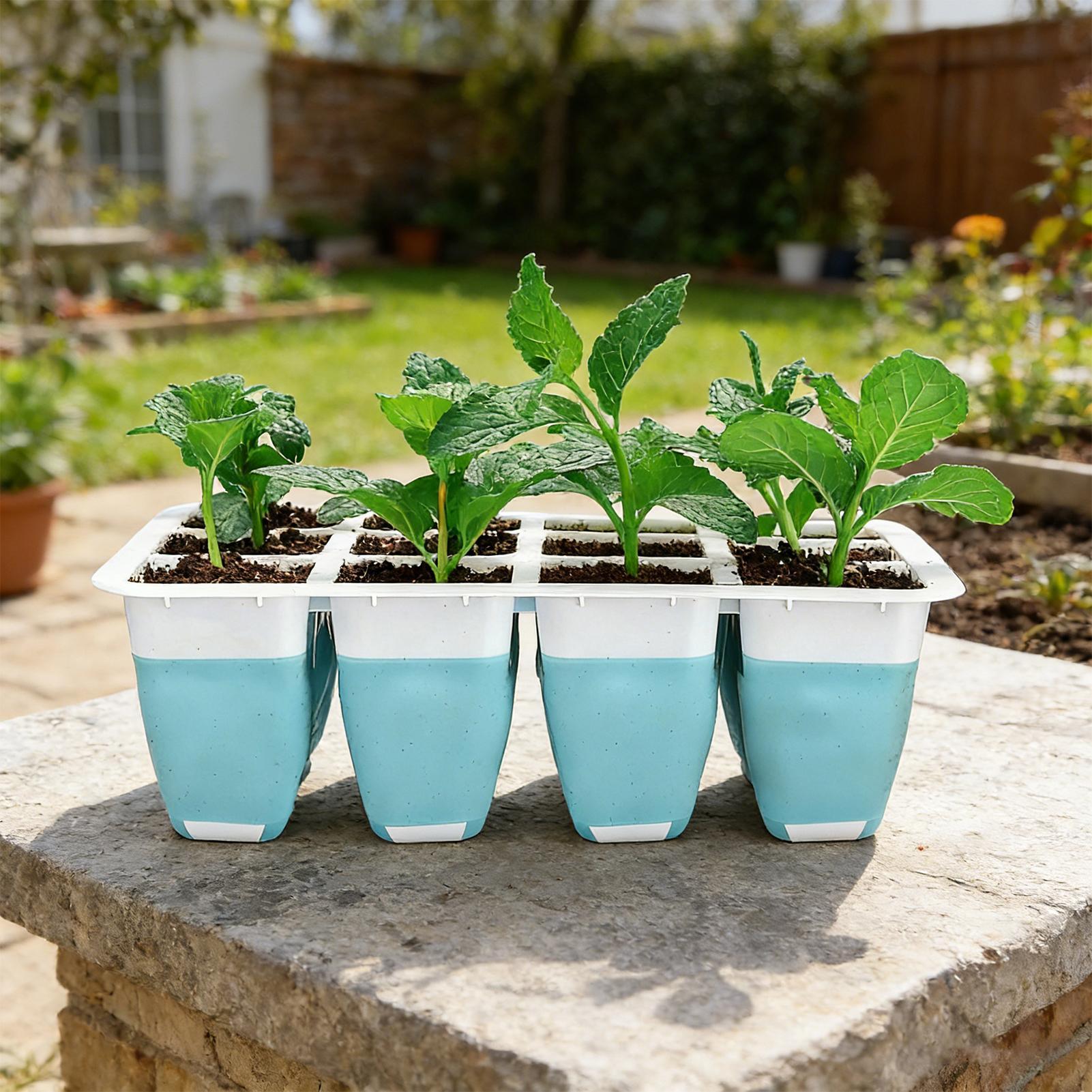 5'li Paket Silikon Tohum Başla - Seed Starter Tray incelemesi ve fiyatı