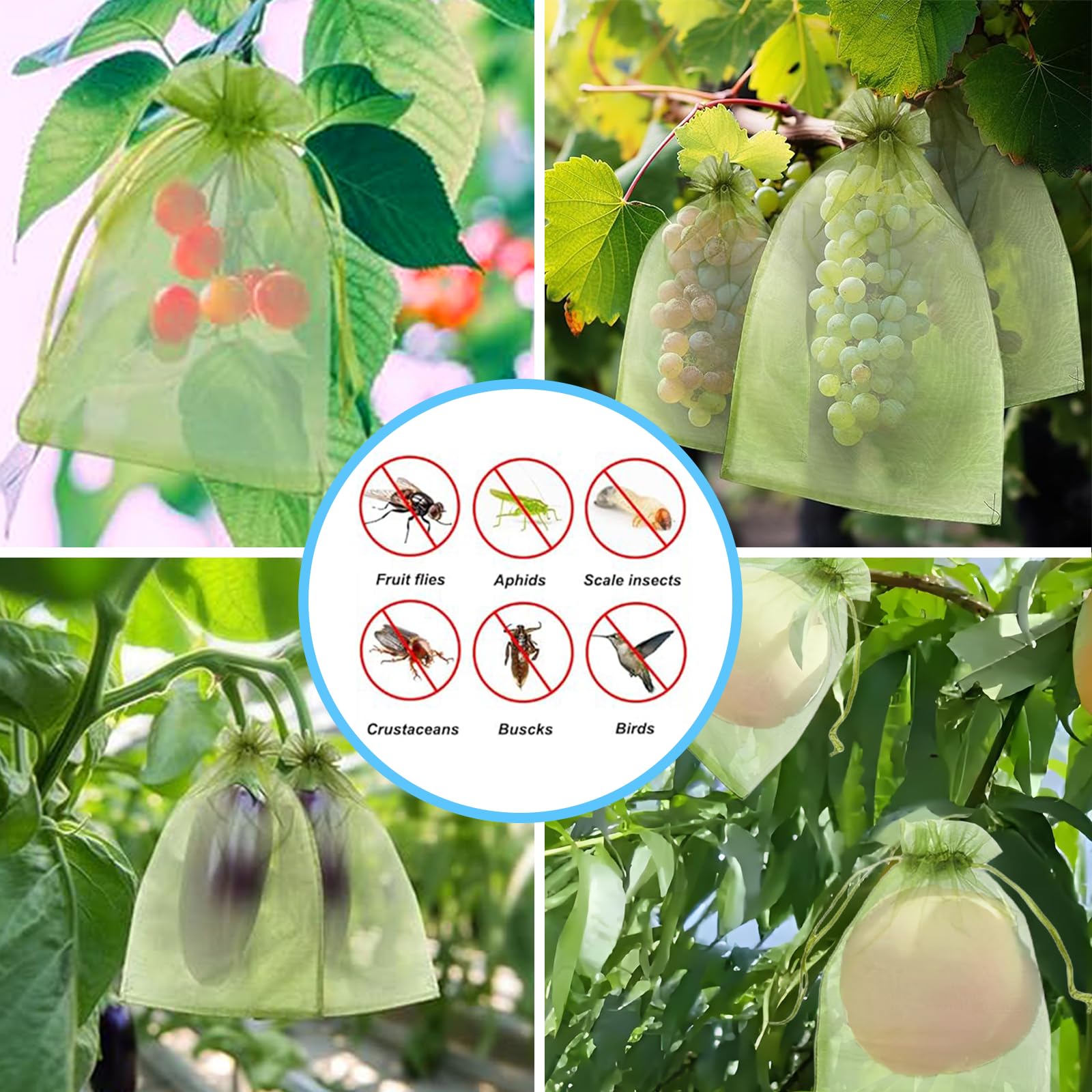 Etkili Kuş Önleyici File Çanta - Grow Bag incelemesi ve fiyatı