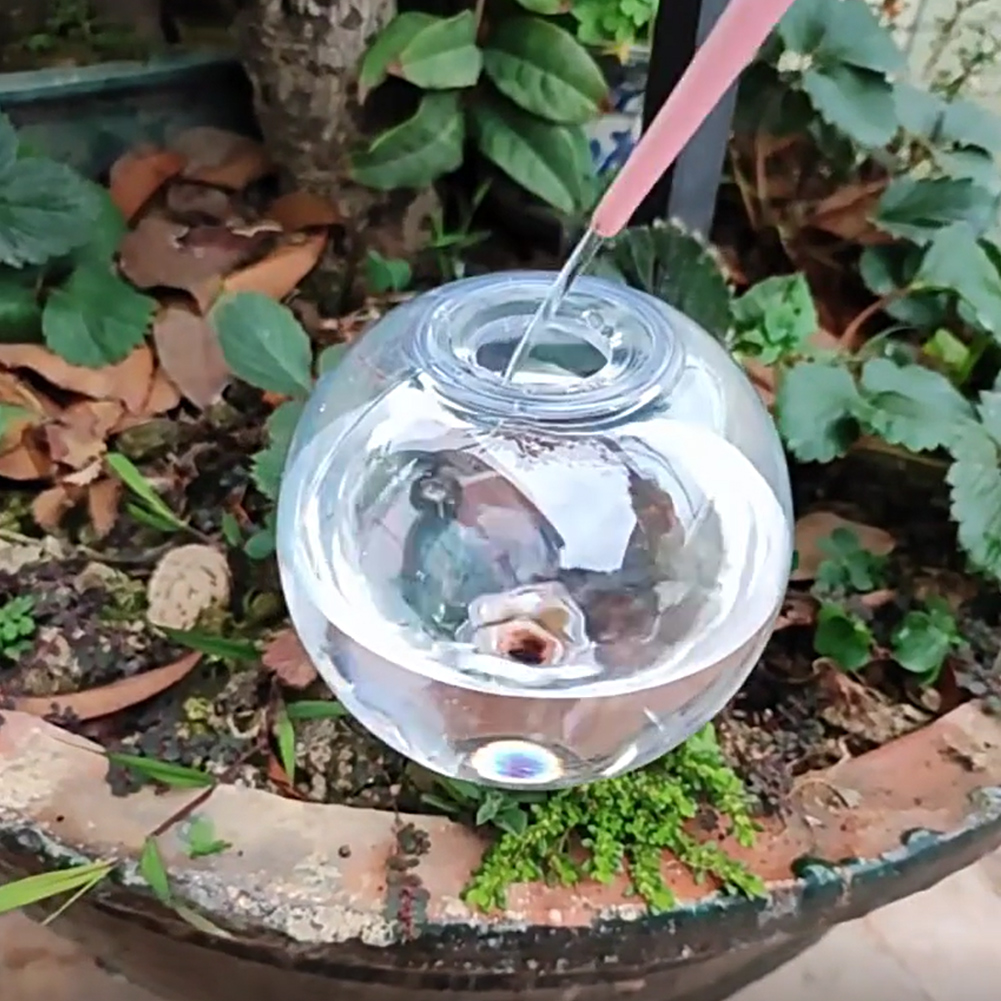 500ML Kendiliğinden Sulanan Kü - Self Watering Planter incelemesi ve fiyatı