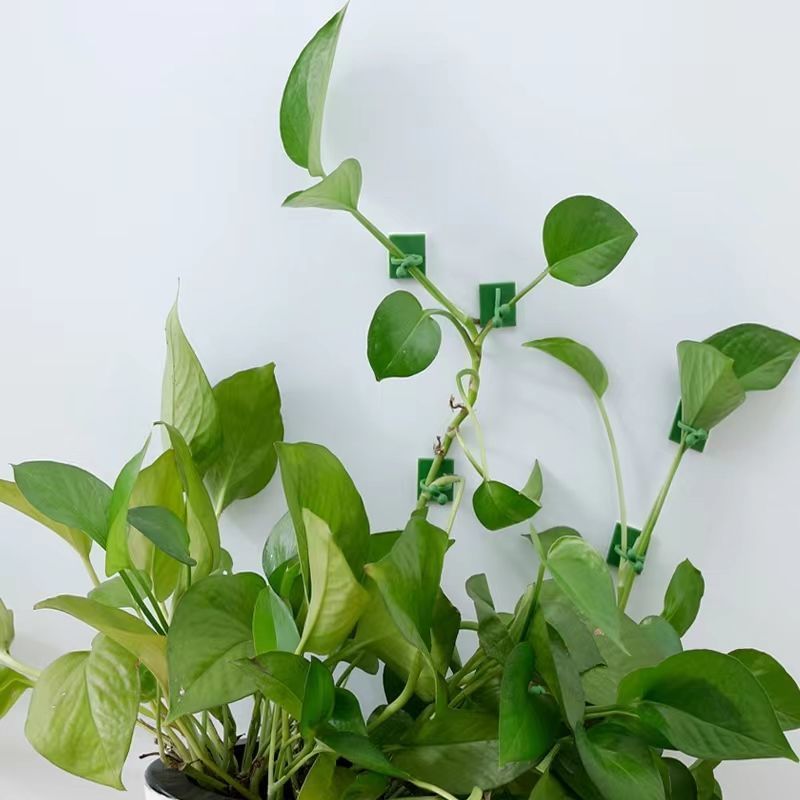 Kendinden Yapışkanlı Bitki Tır - Indoor Herb Garden incelemesi ve fiyatı
