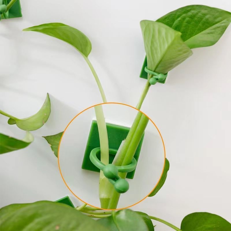 Kendinden Yapışkanlı Bitki Tır - Indoor Herb Garden incelemesi ve fiyatı