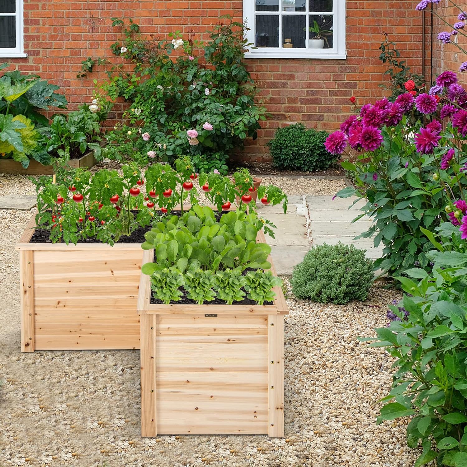 Açık Hava Veranda ve Arka Bahç - Raised Garden Bed incelemesi ve fiyatı