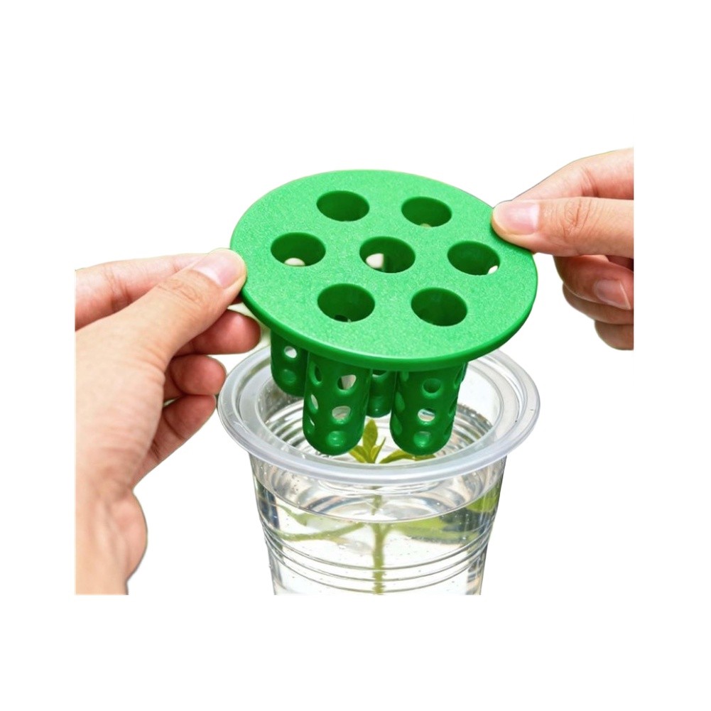 4 adet Yeşil Soğan Yeniden Yet - Hydroponic Kit incelemesi ve fiyatı