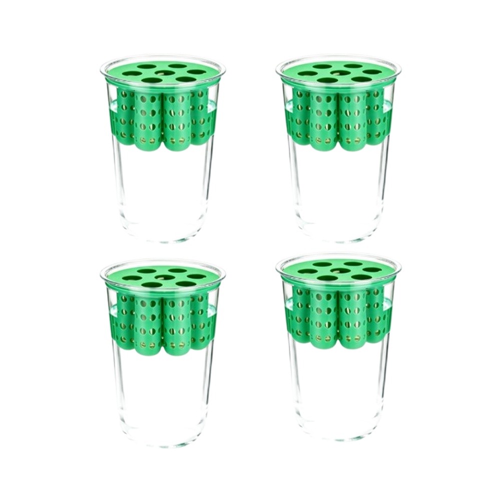 4 adet Yeşil Soğan Yeniden Yet - Hydroponic Kit incelemesi ve fiyatı