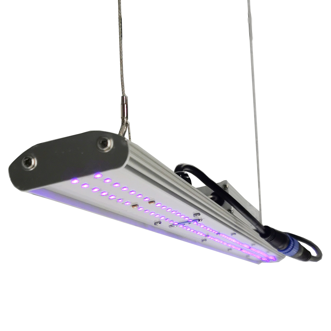 DANSE LED Manuel Dimmerli LED  - Grow Light Led incelemesi ve fiyatı
