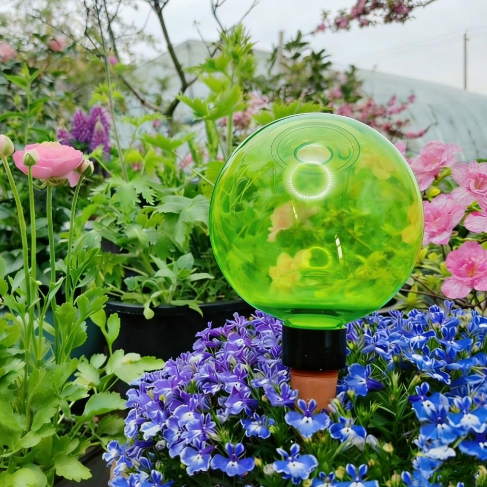 3 adet Büyük Bitki Kendiliğind - Self Watering Planter incelemesi ve fiyatı