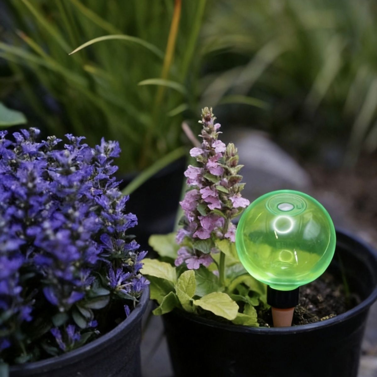 3 adet Büyük Bitki Kendiliğind - Self Watering Planter incelemesi ve fiyatı