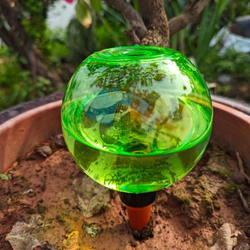 3 adet Büyük Bitki Kendiliğind - Self Watering Planter incelemesi ve fiyatı