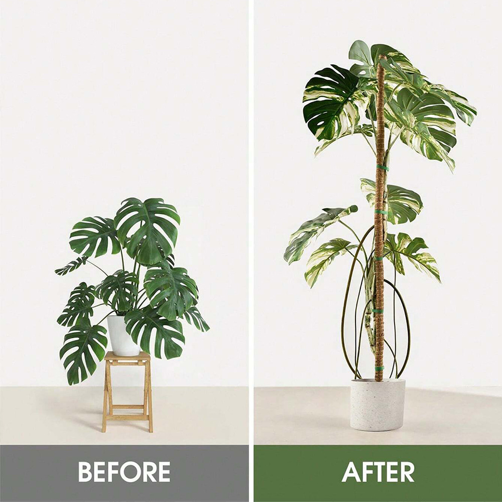 Bitkiler için Yosun Çubuğu Mon - Indoor Herb Garden incelemesi ve fiyatı