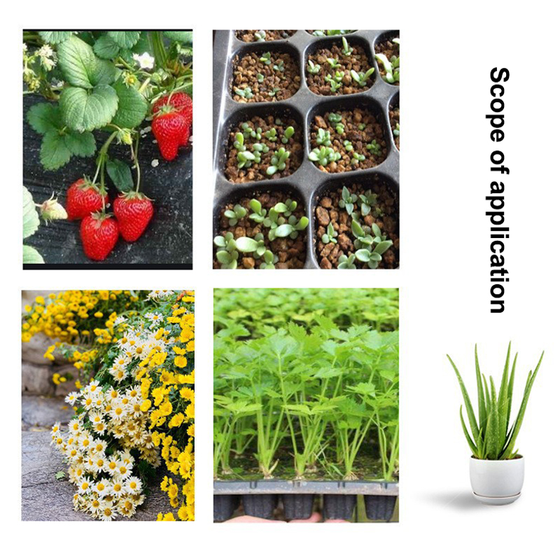 Sıcak 10 adet fide tepsileri p - Seed Starter Tray incelemesi ve fiyatı