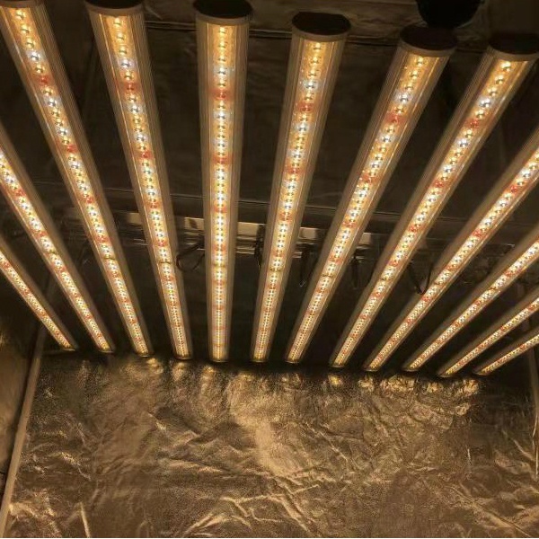 LUX Çin Fabrikası Led Bitki Ay - Grow Light Led incelemesi ve fiyatı
