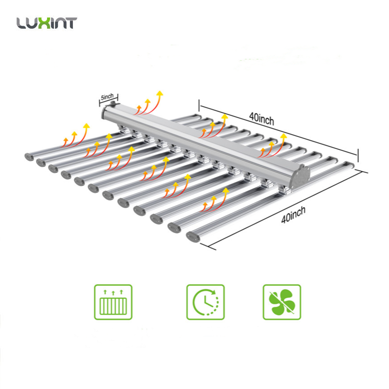 LUX Çin Fabrikası Led Bitki Ay - Grow Light Led incelemesi ve fiyatı