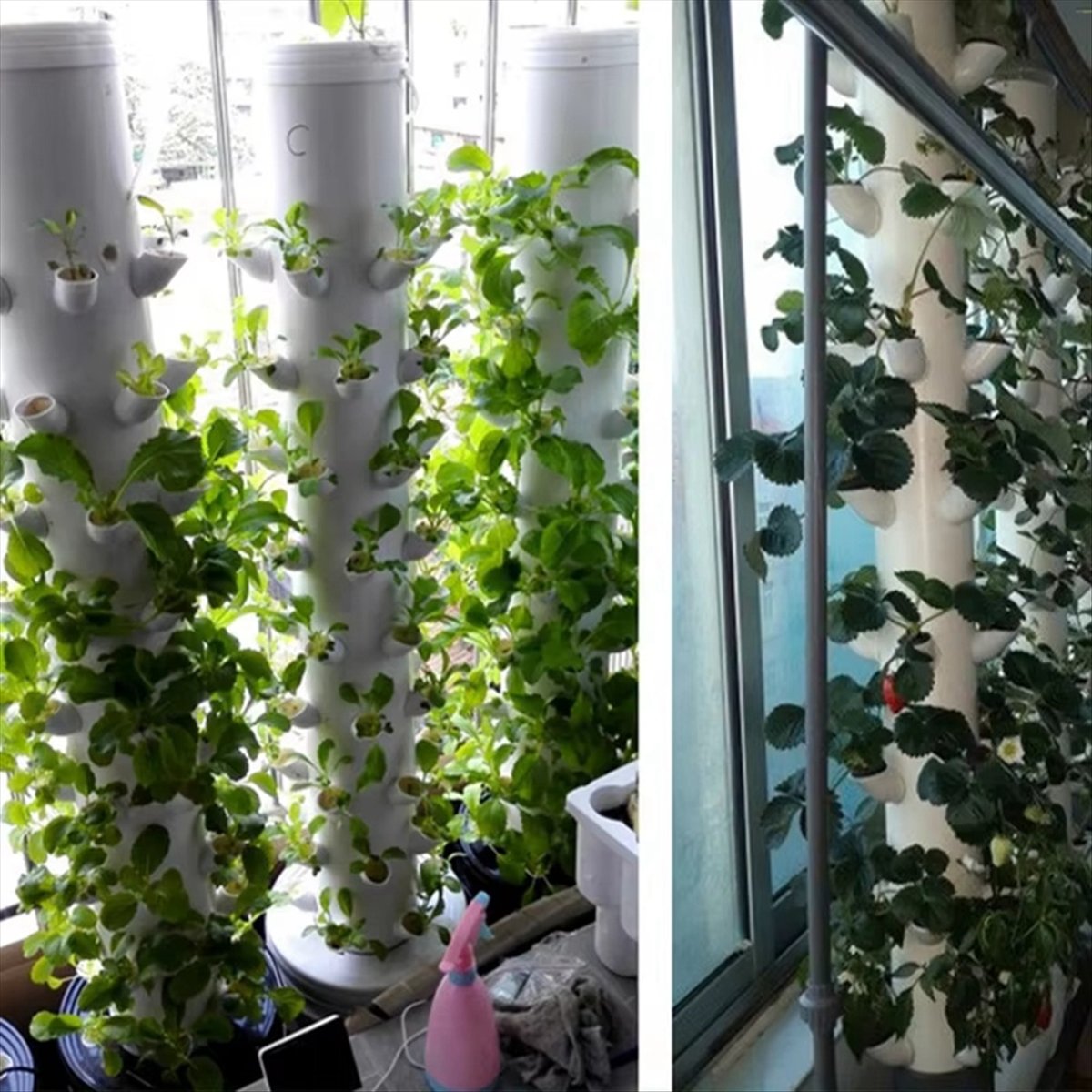 Hidroponik Dikey Kule Saksı DI - Plant Pot incelemesi ve fiyatı