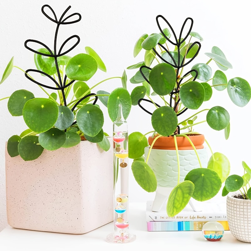 3 adet bitki destek çerçevesi  - Indoor Herb Garden incelemesi ve fiyatı