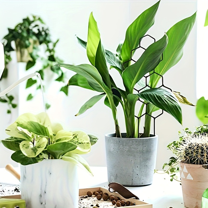 3 adet bitki destek çerçevesi  - Indoor Herb Garden incelemesi ve fiyatı