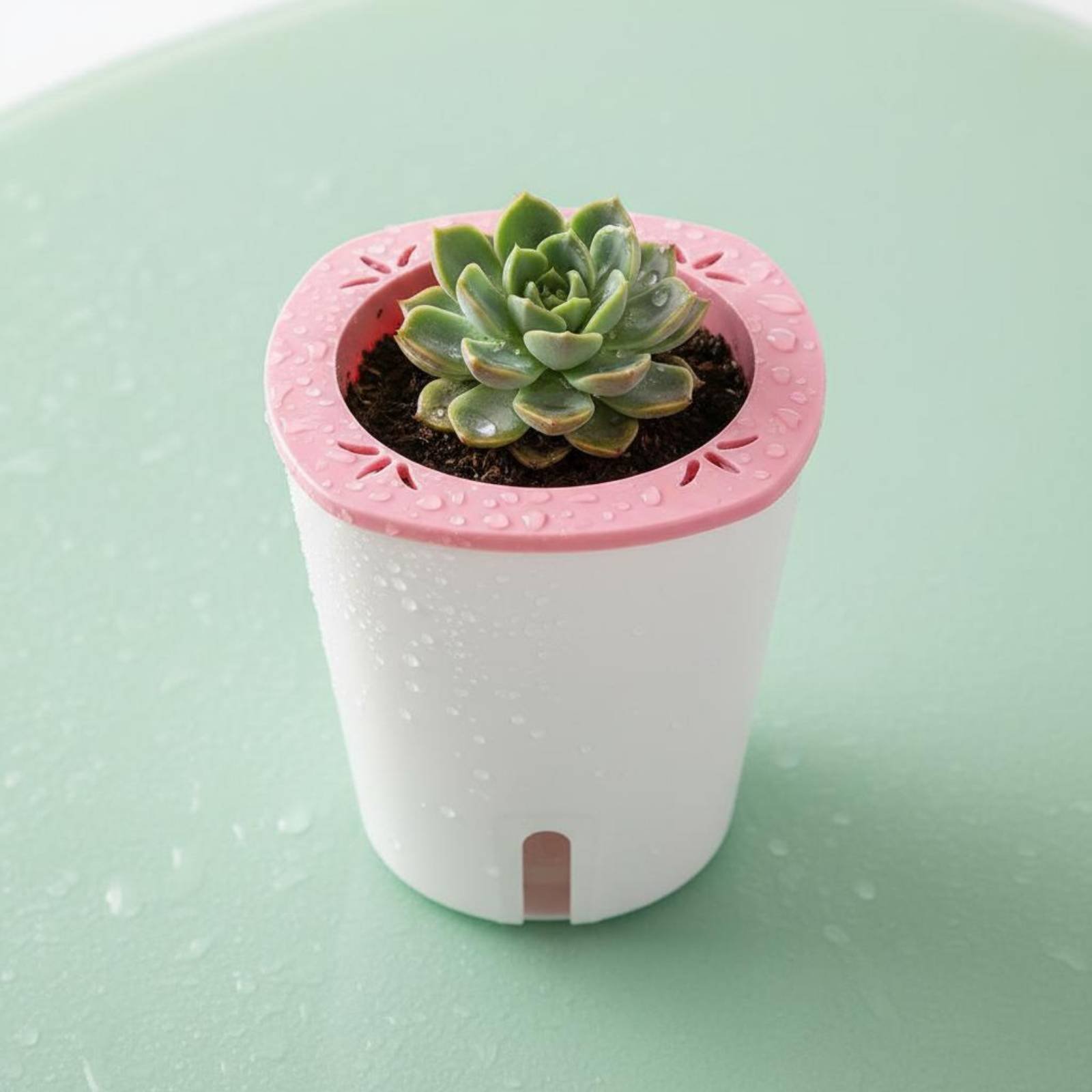 Kendi Kendine Sulayan Saksı Bü - Self Watering Planter incelemesi ve fiyatı