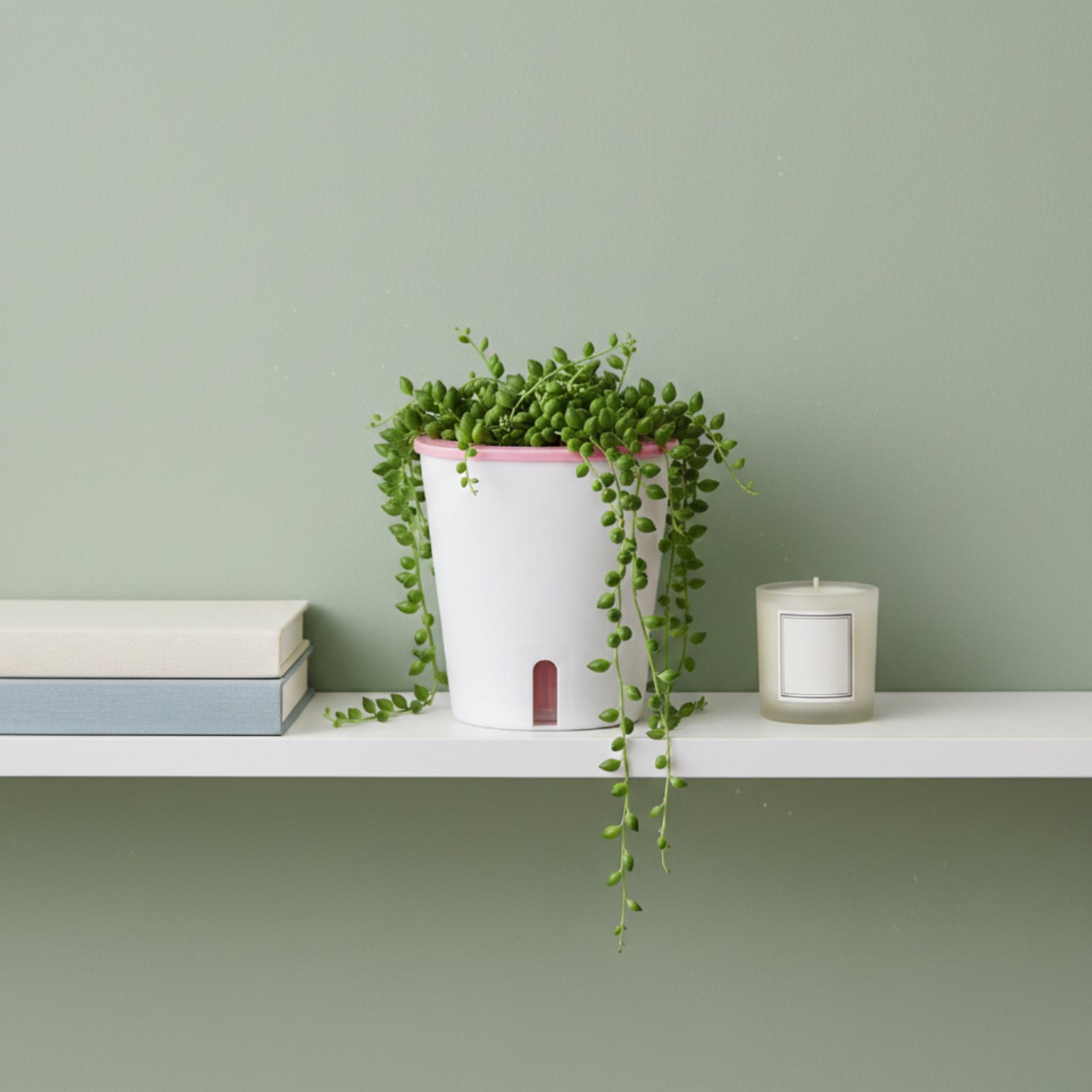 Kendi Kendine Sulayan Saksı Bü - Self Watering Planter incelemesi ve fiyatı