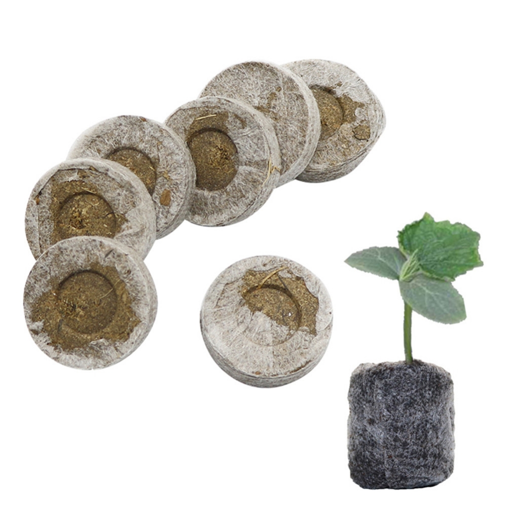 Organik Biyobozunur Kreş Kutus - Seed Starter Tray incelemesi ve fiyatı
