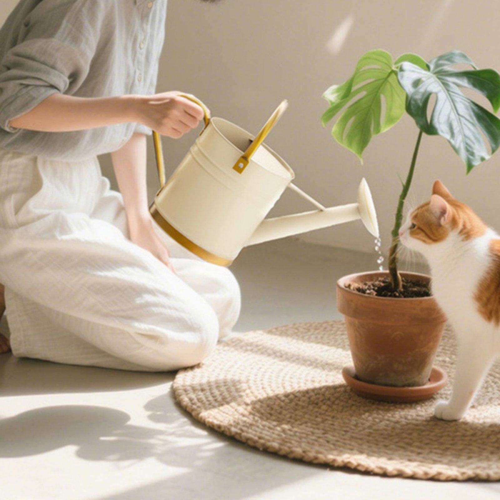 Uzun Ağızlı Sulama Kabı, Balko - Watering Can incelemesi ve fiyatı