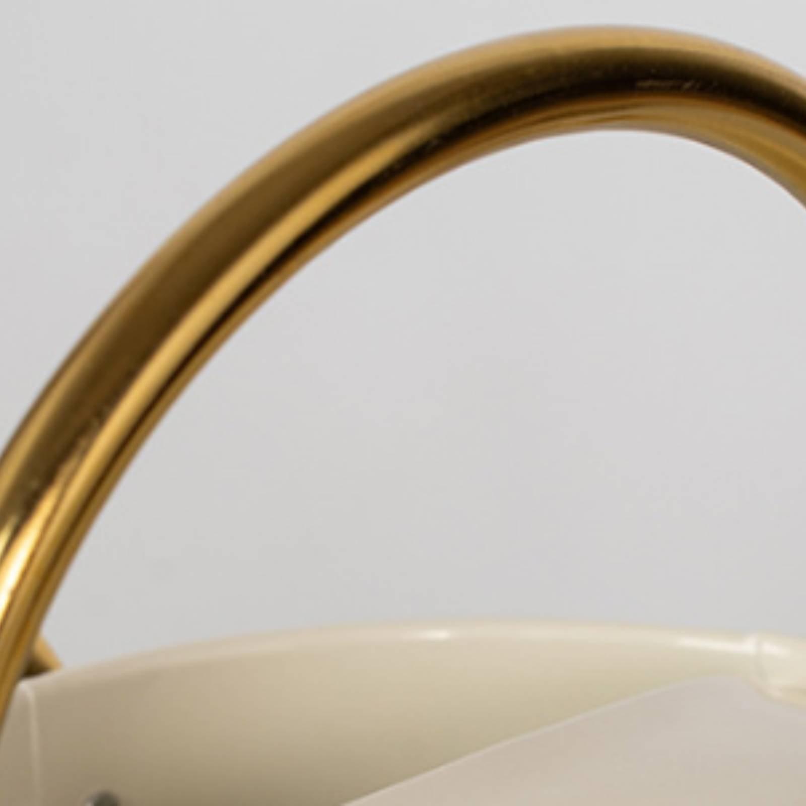 Uzun Ağızlı Sulama Kabı, Balko - Watering Can incelemesi ve fiyatı