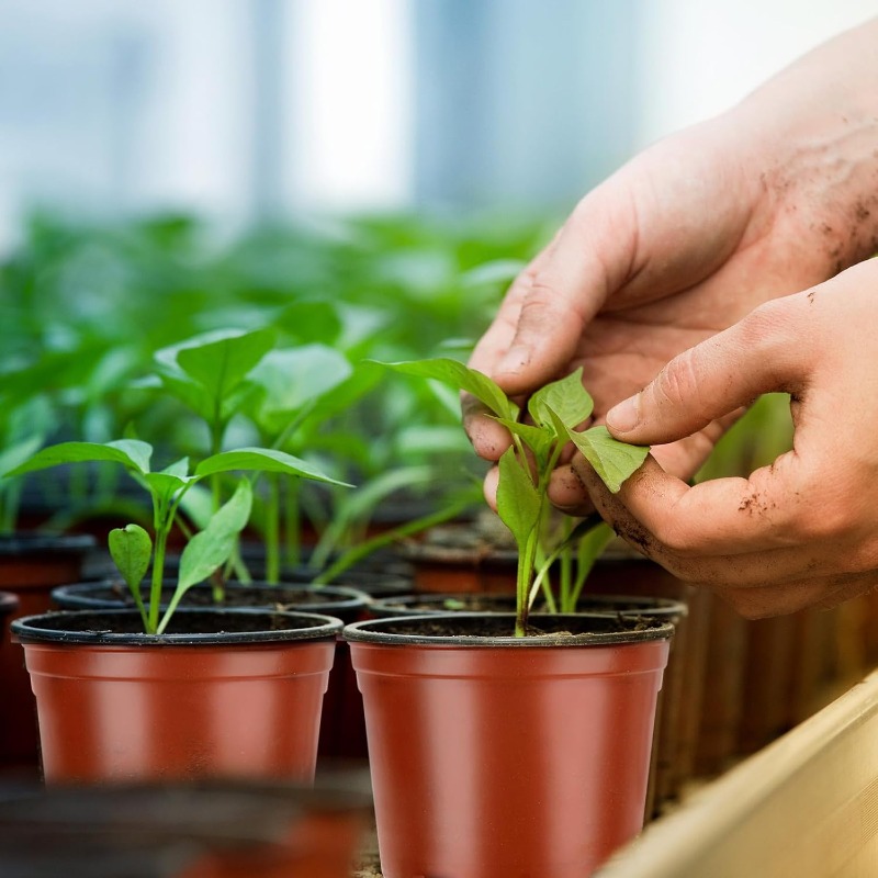 100/20x Fide Yetiştirme Saksıs - Seed Starter Tray incelemesi ve fiyatı