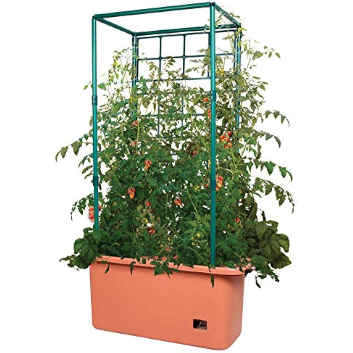 GCTR Domates Yetiştirme Sistem - Vertical Planter incelemesi ve fiyatı