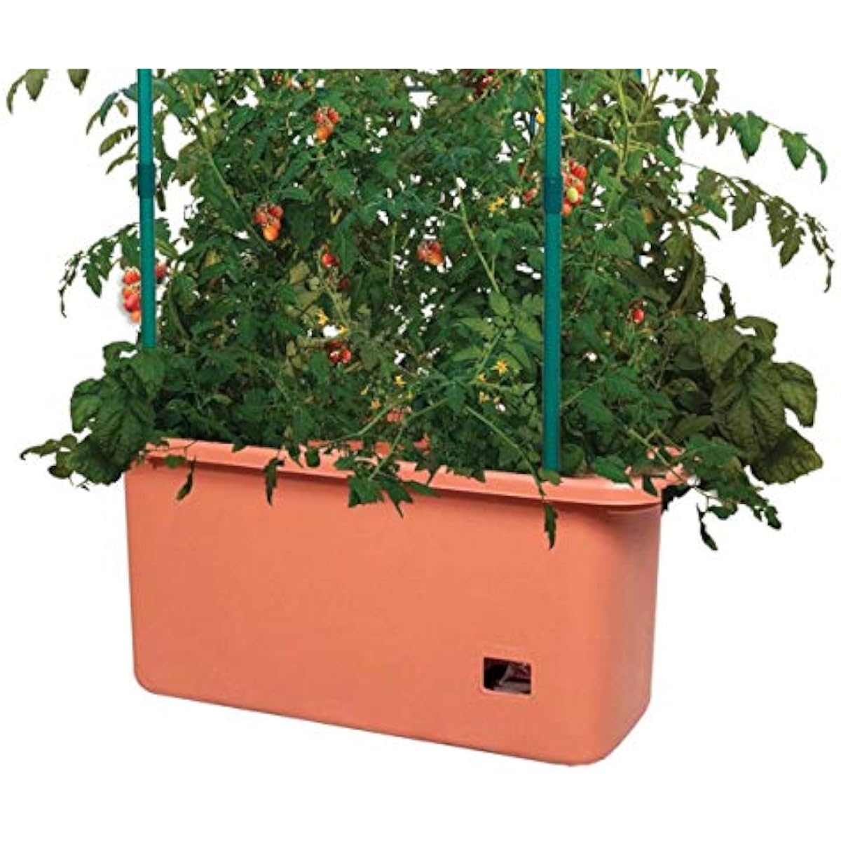 GCTR Domates Yetiştirme Sistem - Vertical Planter incelemesi ve fiyatı