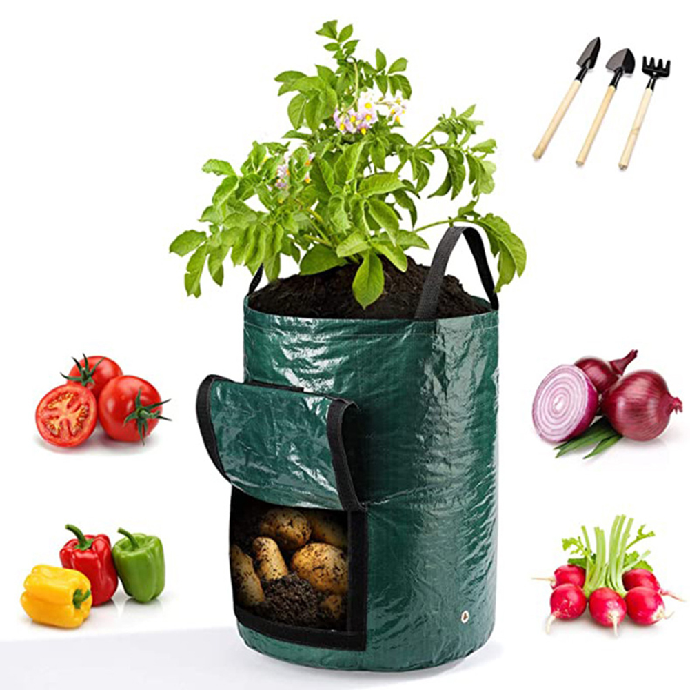 1 adet 10 galonluk sebze bitki - Grow Bag incelemesi ve fiyatı
