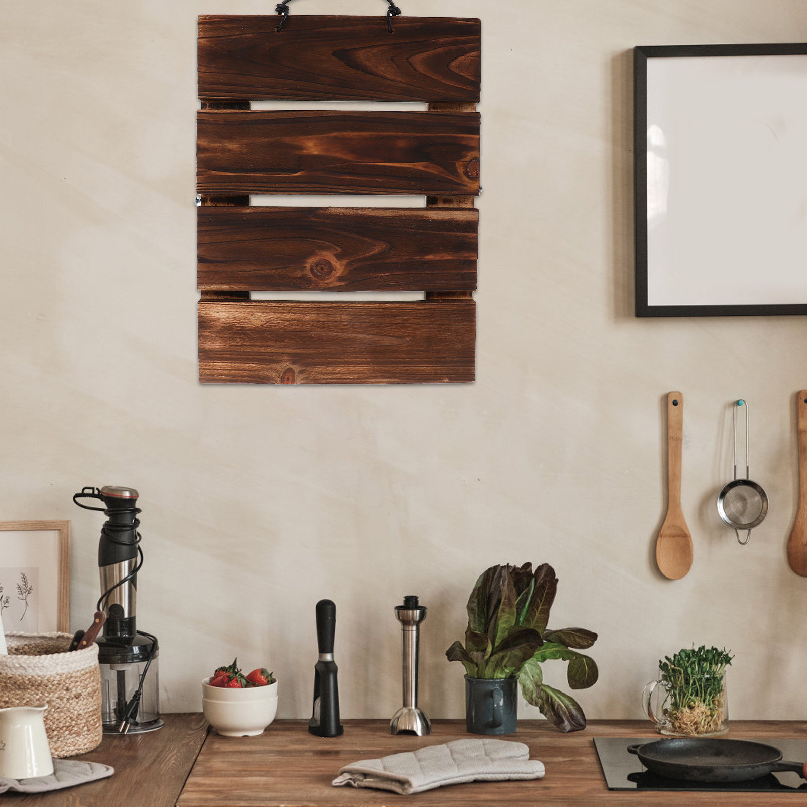 Orkide Asma Panosu, Çin Çam Ağ - Vertical Planter incelemesi ve fiyatı
